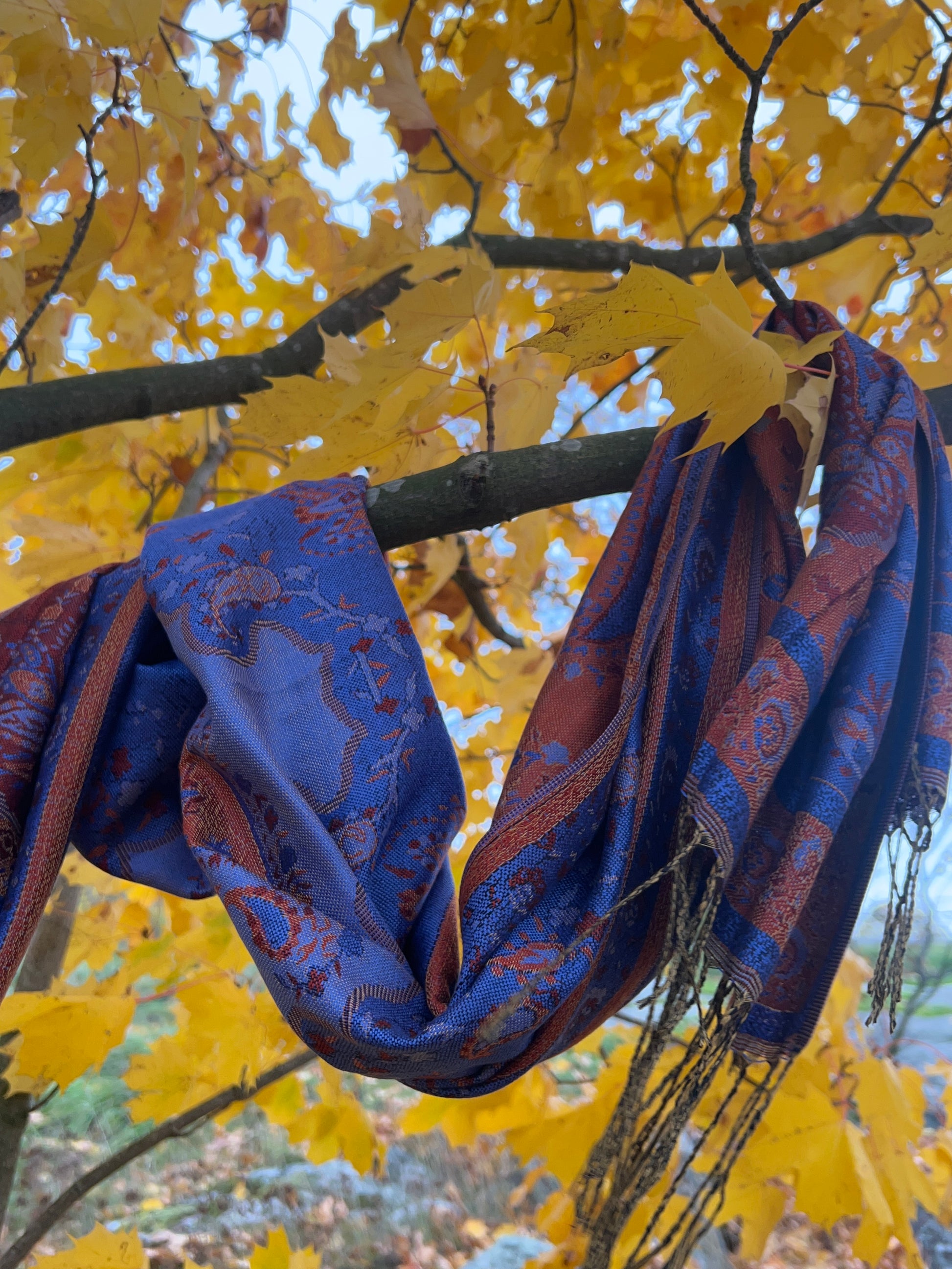 Lula Scarf in Blue Flame pictured outside